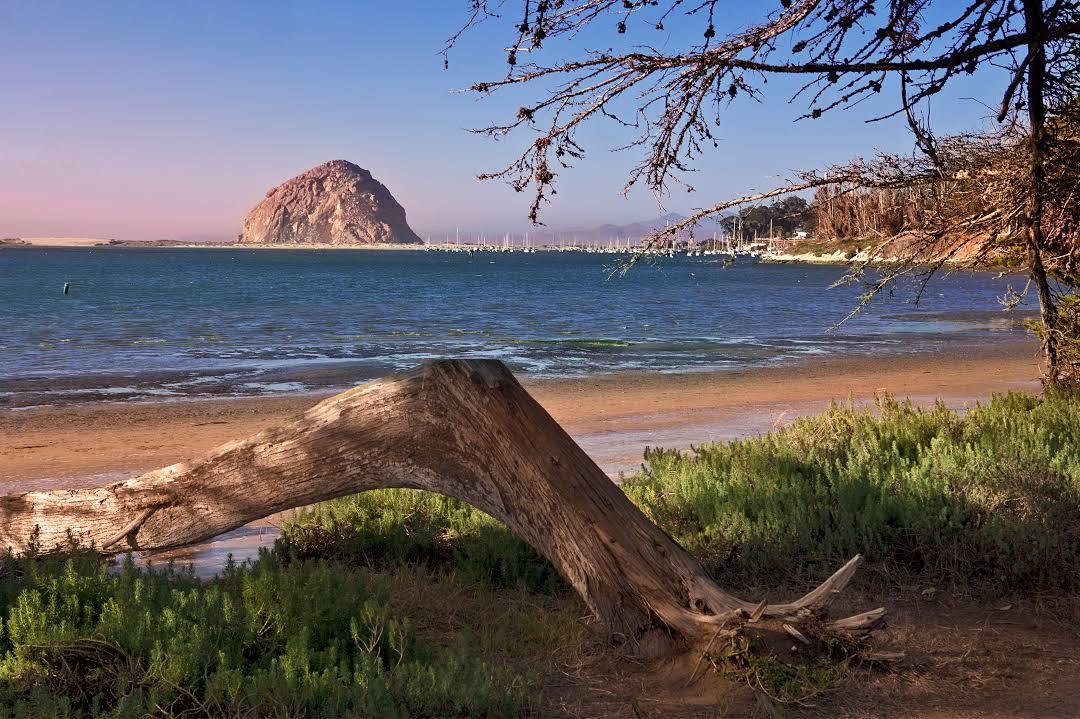Morro Bay State Park
